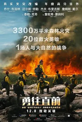 虎胆追凶
